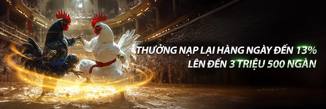 Đá gà trực tuyến kịch tính tại abc888 nhà cái